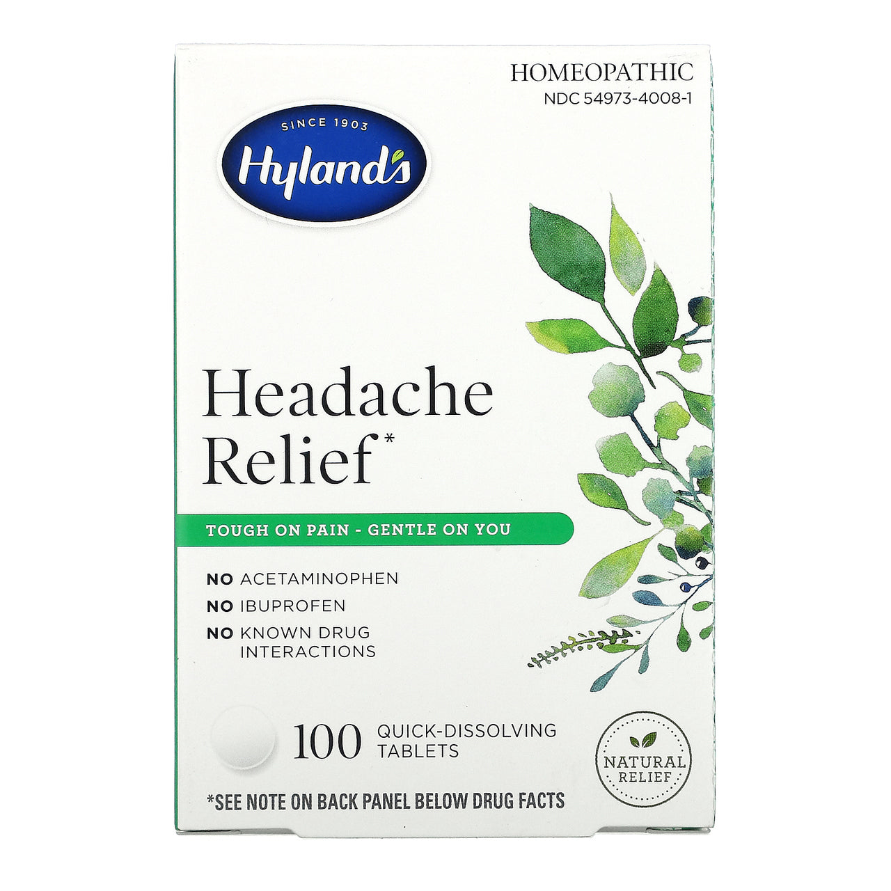 HYLAND HOMPTH HDACHE RLF ( 1 X 100 TAB  )